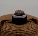 Carter Pink Peacock Feather Ring